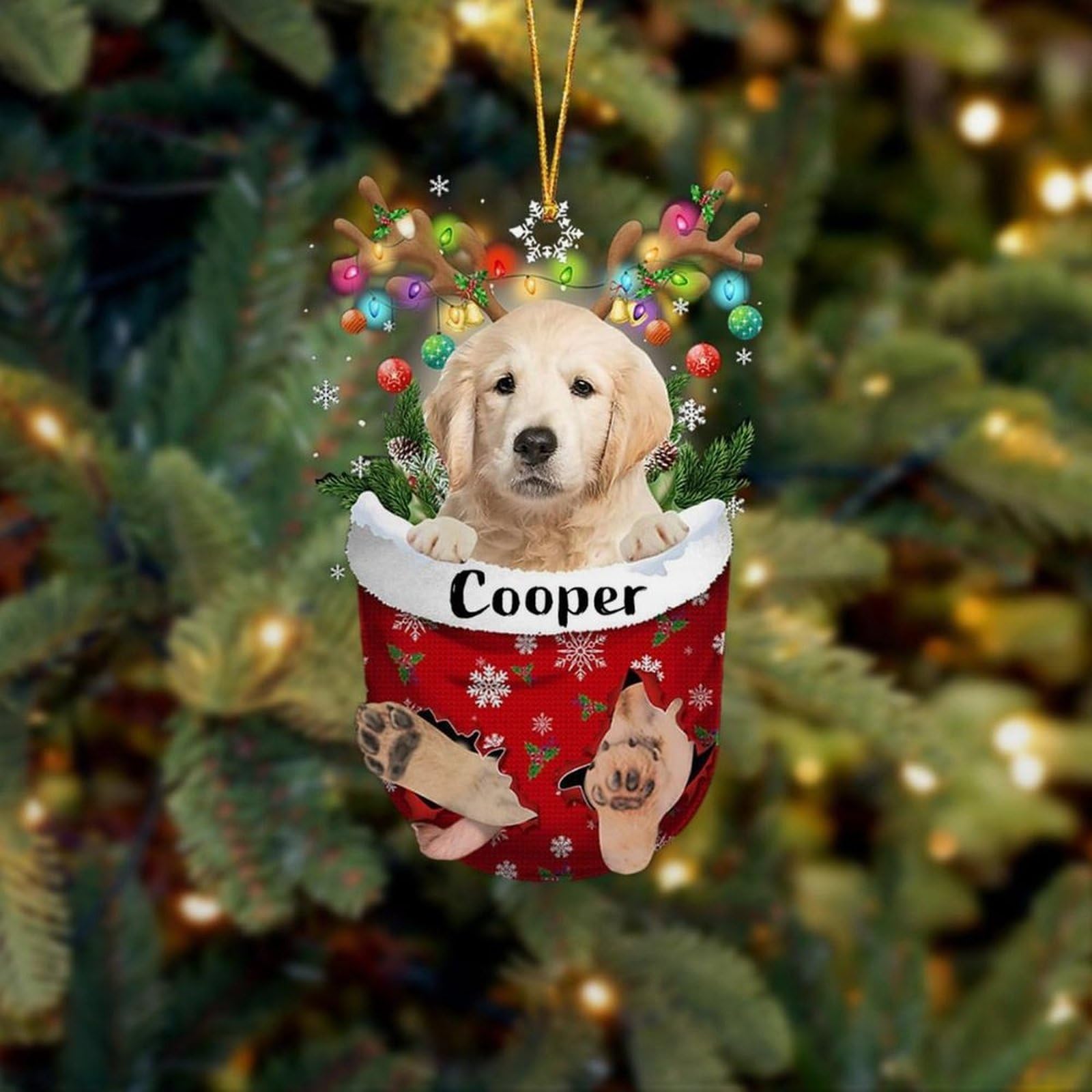 Luckluccy Golden Retriever 2 Pesonalized Golden Retriever In Snow Pocket Ornament,Custom Name Golden Retriever Ornament For Christmas Tree,Dog Christmas Ornament,Xmas Gifts For Dog Lover,Family,Friend