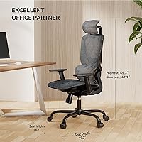 Vista 2 de NOBLEWELL Silla de oficina ergonómica de malla con ajuste flexible, soporte lumbar, silla de computadora de escritorio con respaldo alto