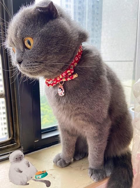 Foto 5 de 6 de PetSoKoo - Collar para gato con cascabel, lazo con colgante de gato