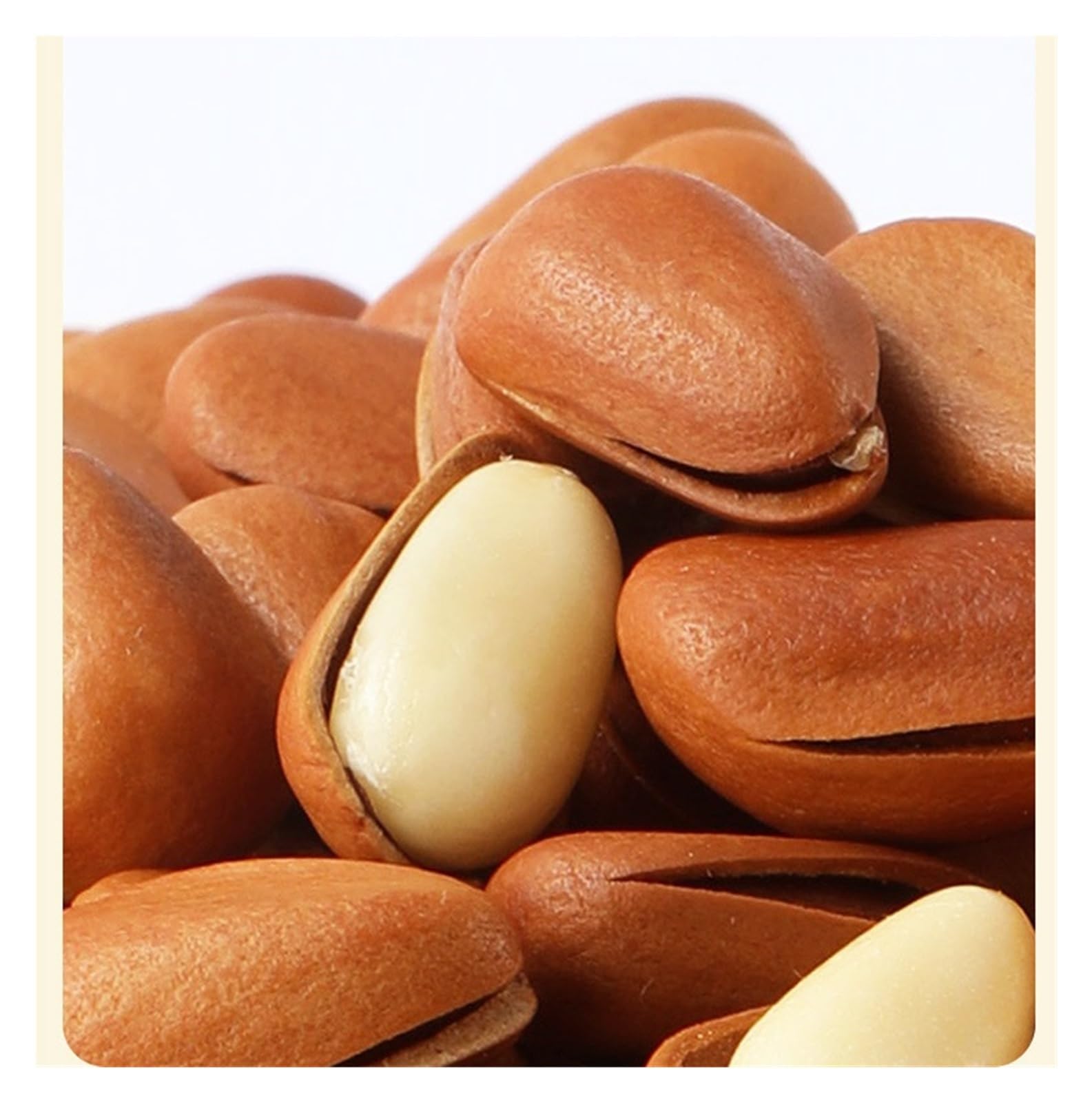 Lata grande de 500g de piñones y semillas tostados, un snack delicioso y crujiente. Listo for comer directamente de la lata(1Can)