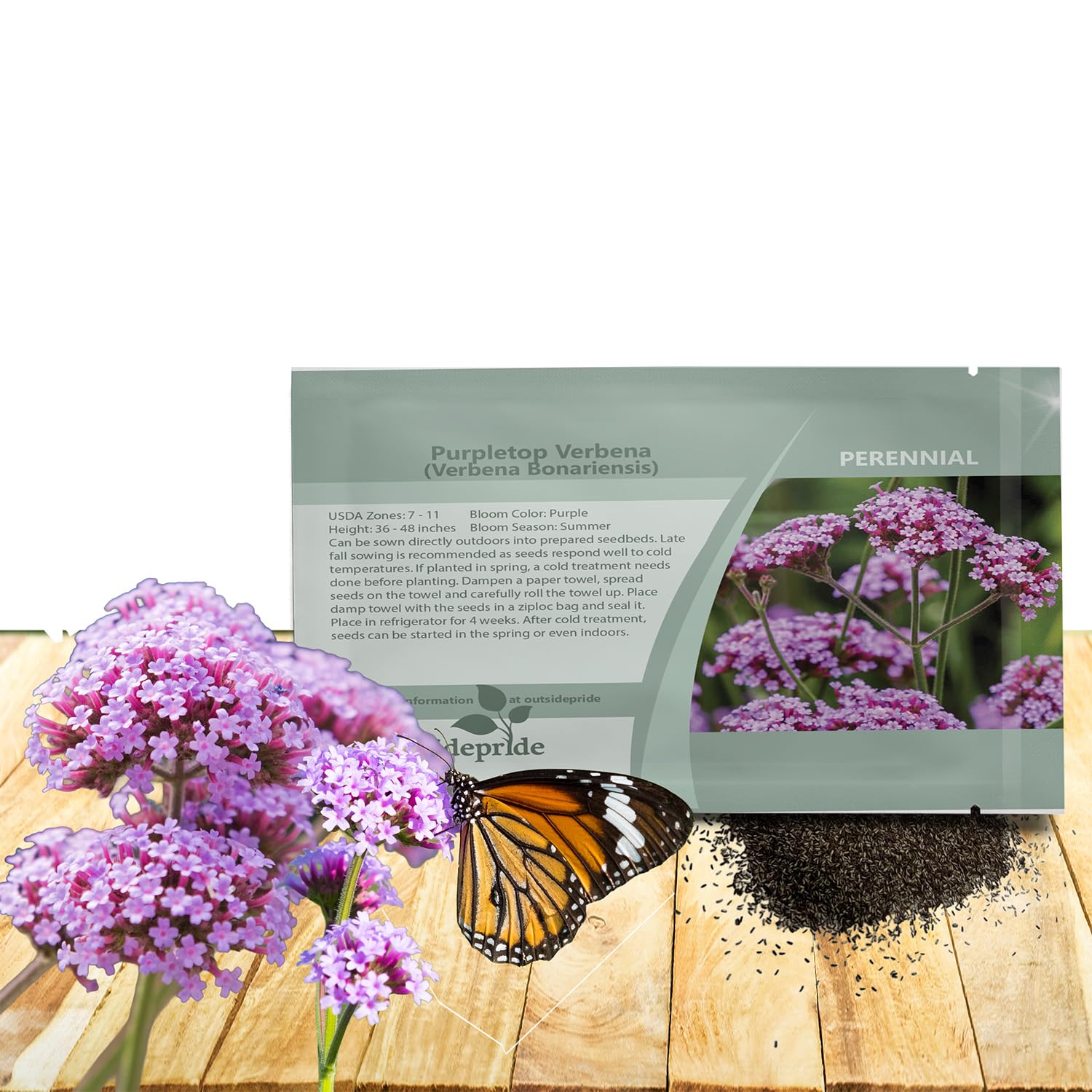 Outsidepride Purpletop Verbena Seeds for Planting - 5000 Pcs. Annual, Drought Tolerant & Easy to Grow, Ground Cover with Fragrant & Vibrant Blooms for Containers, Borders & Pollinator Gardens