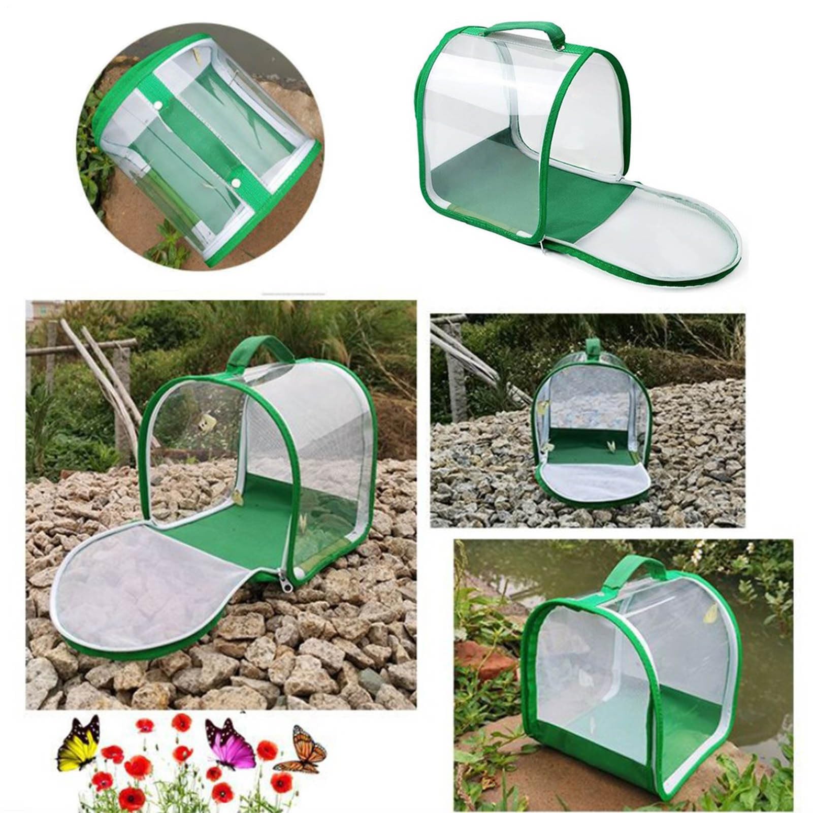 Set di allevamento di farfalle per bambini/adulti | Farfalla domestica | Insetto e Farfalla Habitat Gabbia di protezione per terrario | Allevamento cingolato dai 3 anni in su, verde