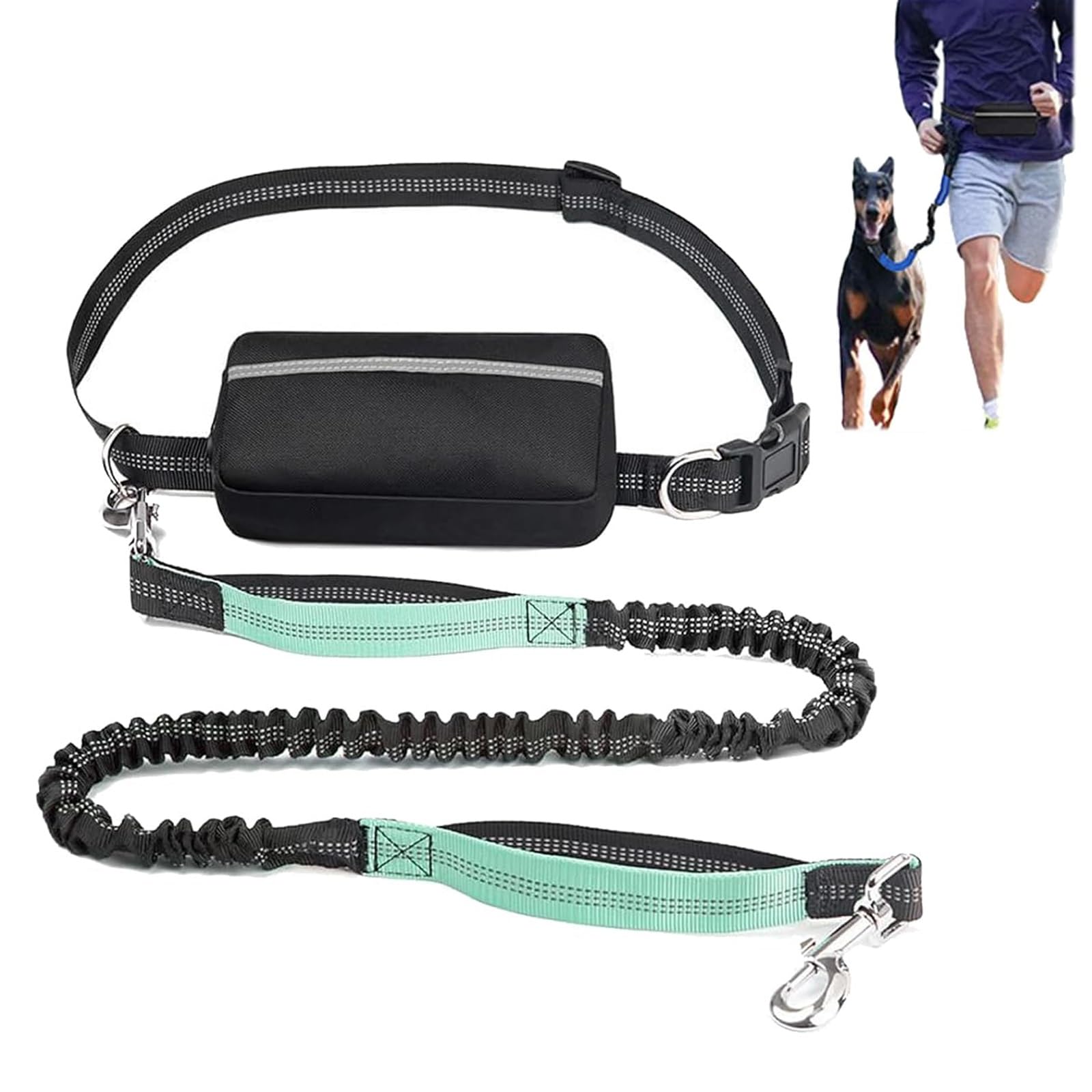Laisse avec pochette zippée de rangement pour petit moyen grand chien