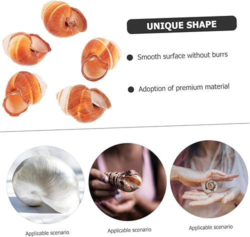 Miniatura 8 de 2 unidades de caracol de calidad de restaurante Escargot caracol decorativo francés conchas 5 unids*2