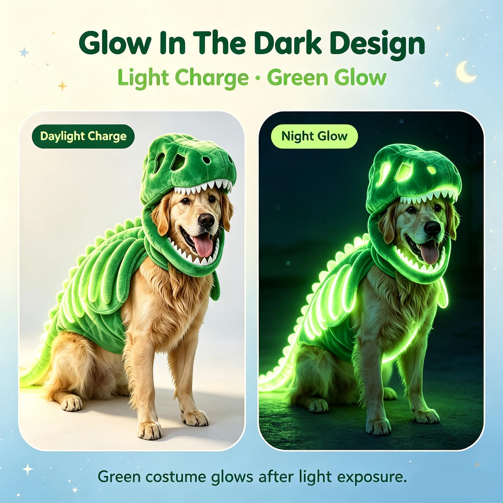 Dinosaurier Kostüm Hund Halloween, Leuchtendes Skelett Haustier Kostüm für Hunde und Katzen, Plüsch Drachen Kapuze Outfit, Lustige Tierbekleidung für Halloween Party, Fotos und Geschenke，D：120 cm