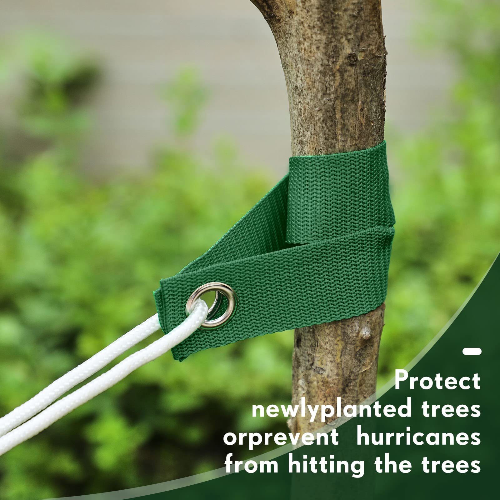 Lot de 48 sangles d'arbre de 40 cm pour piquets avec œillets - Pour jeunes arbres et plantes - Pour piquets de haubans, jeunes plantations et protection contre les ouragans (vert)