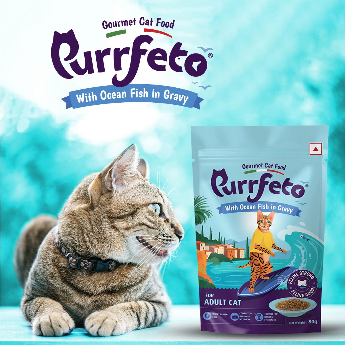 Purrfeto Adult Wet Cat Food | Oceanfish in Gravy |80 GMS (Pack of 48)| Gluten Free | Supports Hydration | Highly Palatable 4