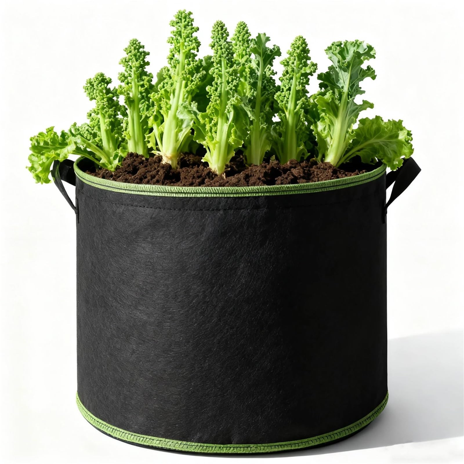 GIYXHU 2pcs 1 to 15 Gallon Grow Bags for Root Vegetables, Thickened Fabric Plant Containers with Handles, Potato & Carrot Planter Pots for Flowers Vegetables(5 Gallon (30x25cm))