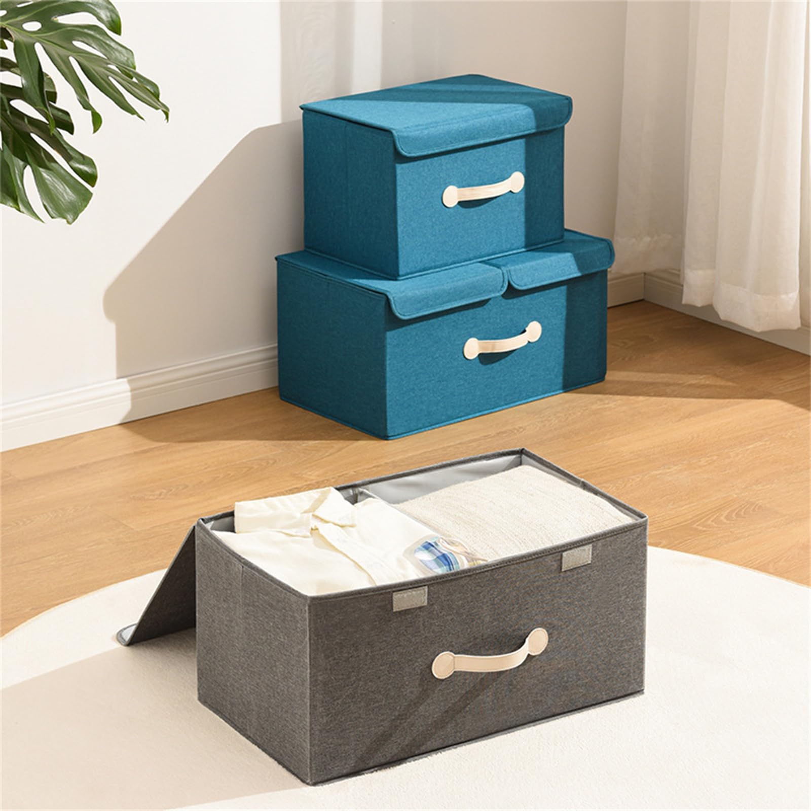 COELHO Scatole per Armadio con Coperchio Scatola di Stoccaggio Pieghevole del Guardaroba Home Organizzando Scatola di Archiviazione-Un- Doppio Coperchio