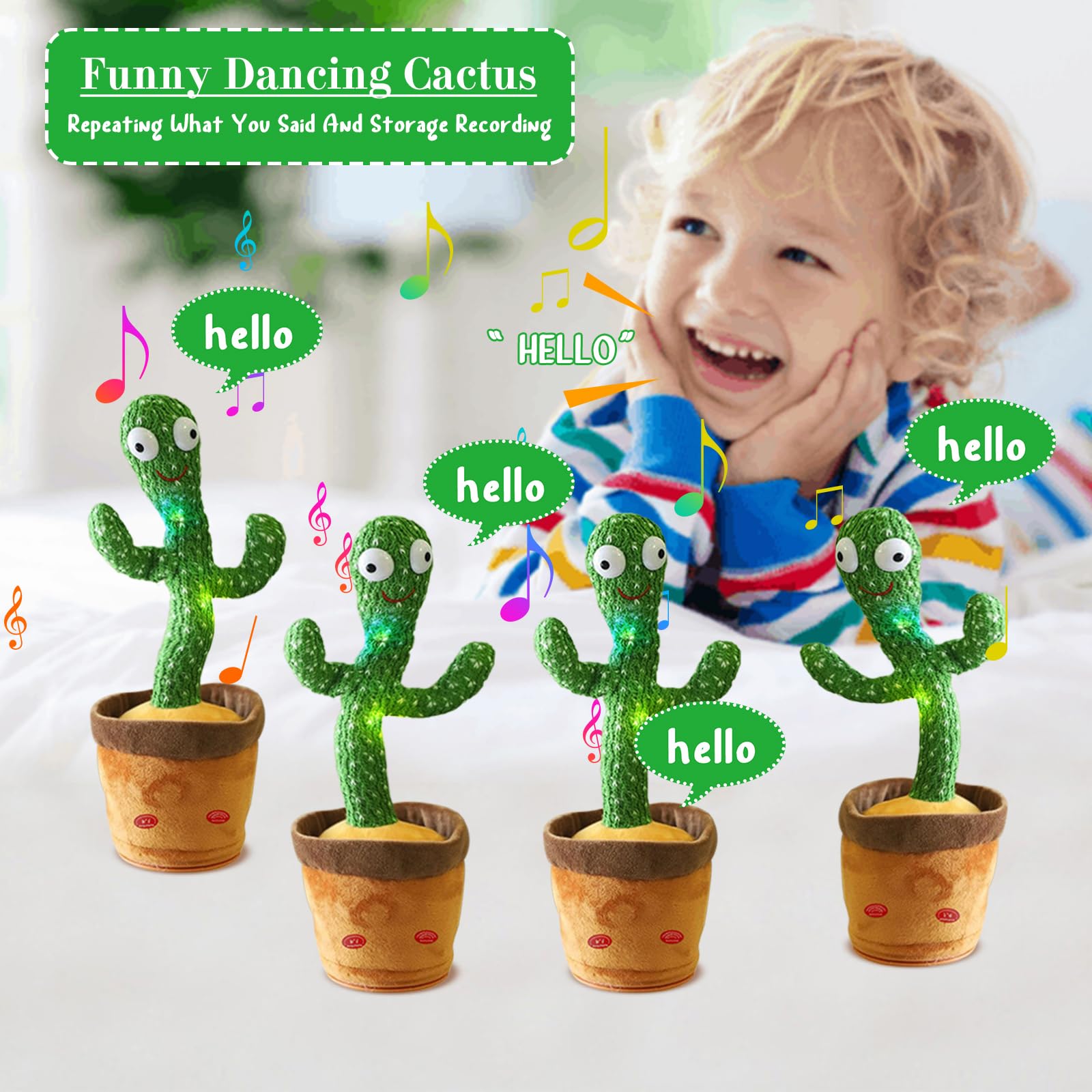 dracaena jade jewel plant Dracaena fragrans 'Jade Jewel' – Green-and-White Corn Plant