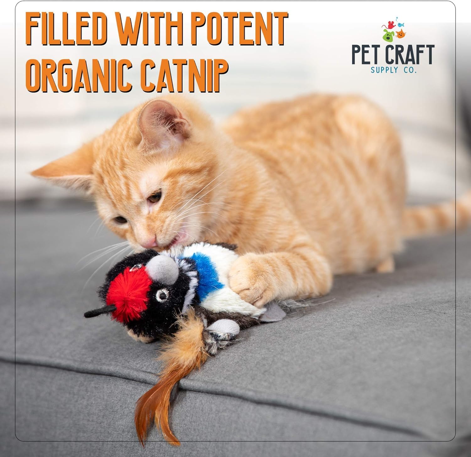 Pet Craft Supply Co. Batty Bird & Quirky Quirky Funny Cuddling Chasing Irresistible Estimulante Suave Peluche Alivio del Aburrimiento Interactivo Relleno de Catnip Juguete para Gato con Plumas