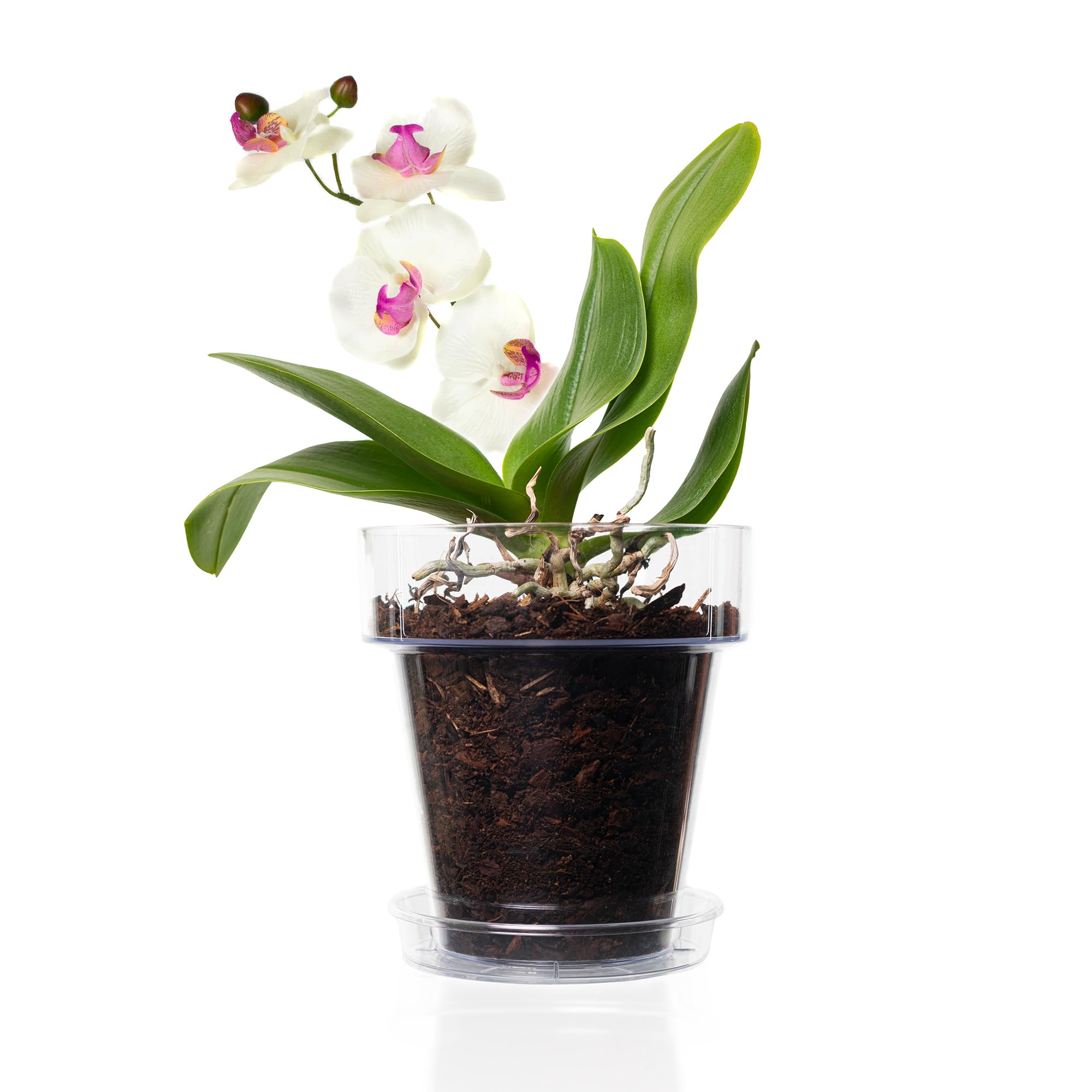 Kalapanta Kit para Trasplantar Orquídeas: 1 Maceta Transparente Ø16cm con Agujeros de Drenaje, 1 Plato Ø14cm, 1 Saco de 2L de Tierra específica para Orquídeas