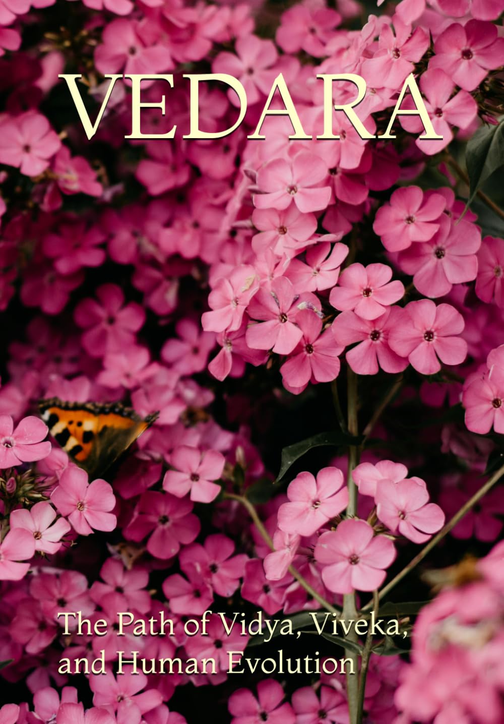 VEDARA: The Path of Vidya, Viveka, and Human Evolution