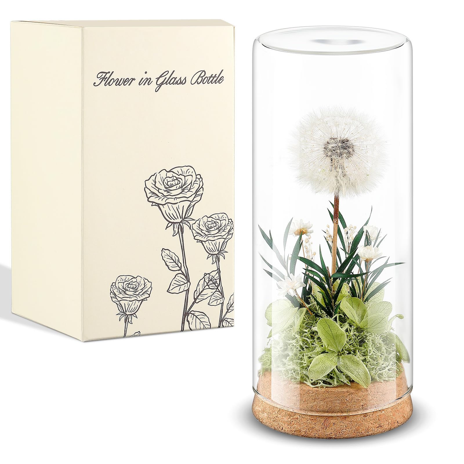 Blulu Vero Dente di Leone in Vetro Regali di Dente di Leone per Donna Fiori Conservati in Barattolo Regali per Compleanno Festa della Mamma Nozze Natale Mamma Nonna Amica