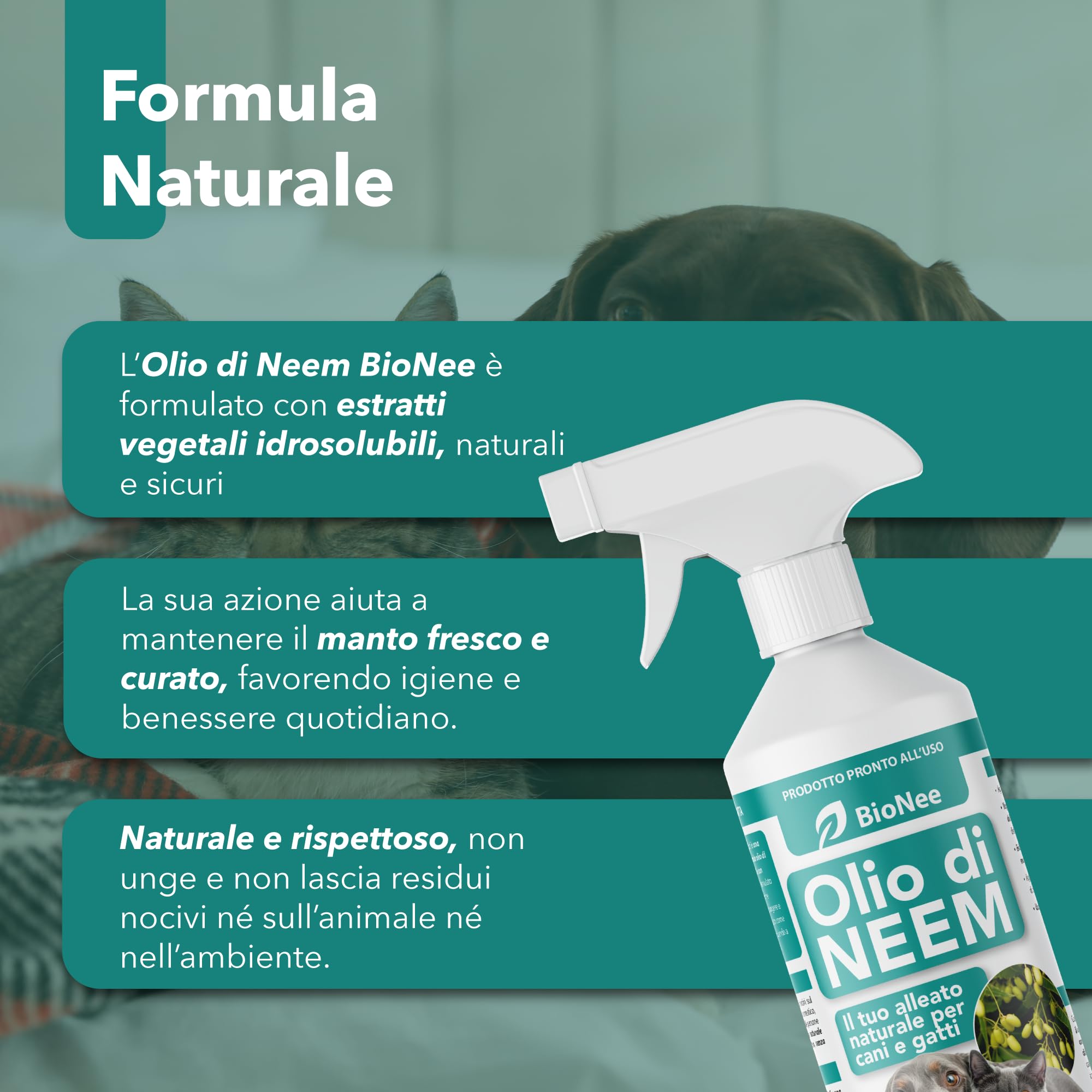 Olio di Neem per Cani e Gatti Spray 500 ml – Idrosolubile, Naturale, Non Unge – Azione Delicata, Effetto Barriera Sgradito a Zecche Pulci Zanzare Insetti