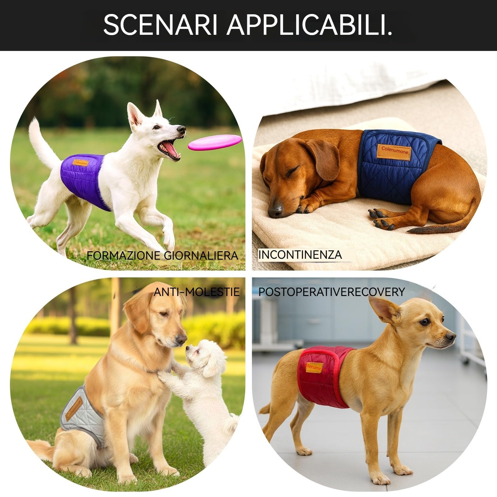 5 confezioni di pannolini lavabili e riutilizzabili per cani, fasce per pancia per cani maschi, fasce ultra-assorbenti trapuntate a prova di perdite per addestramento e incontinenza, 5