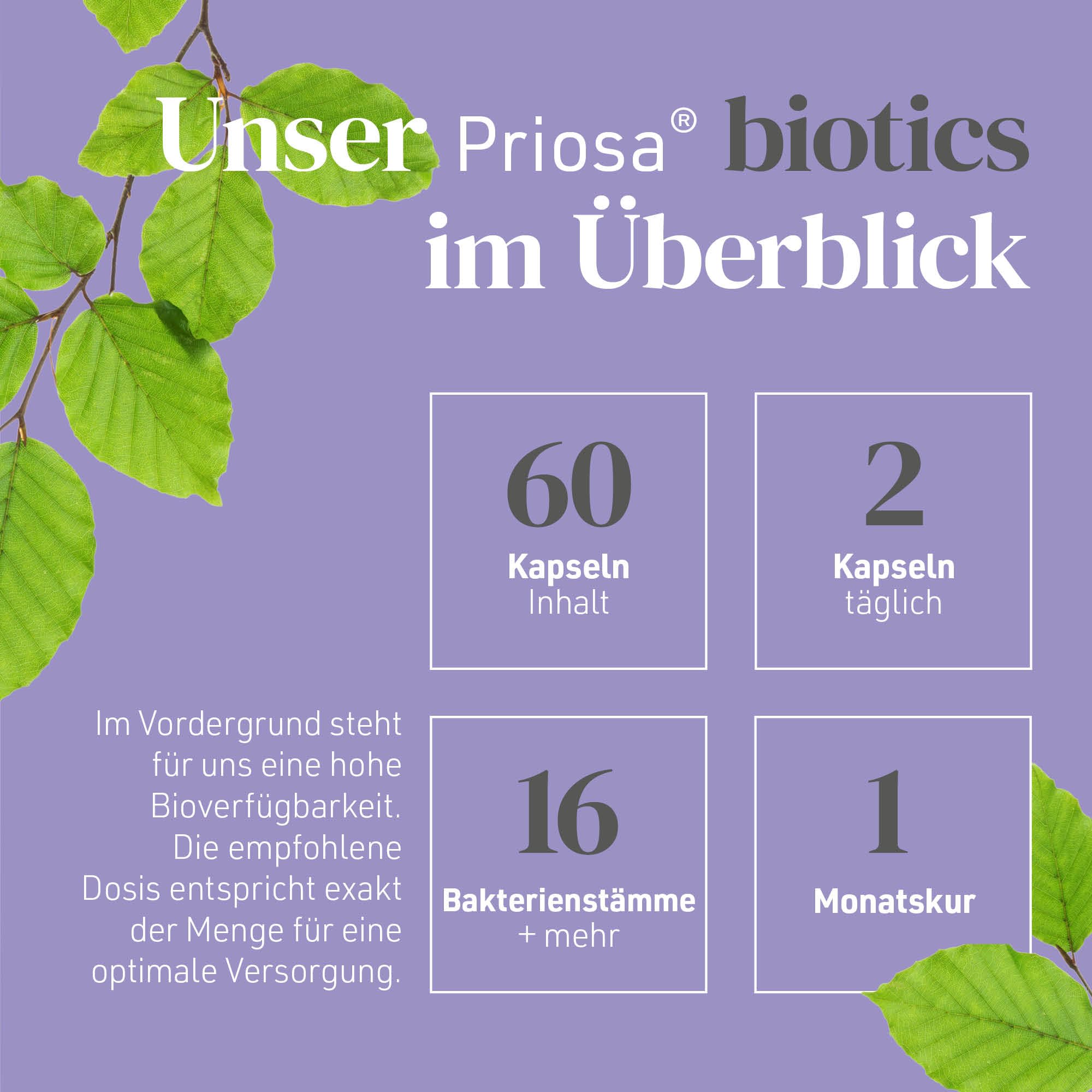 Priosa biotics 60 Kapseln I Mit Bakterienkulturen, Ballaststoffen und Vitaminen I Inulin aus Zichorie I 16 Bakterienstämme I Glutenfrei