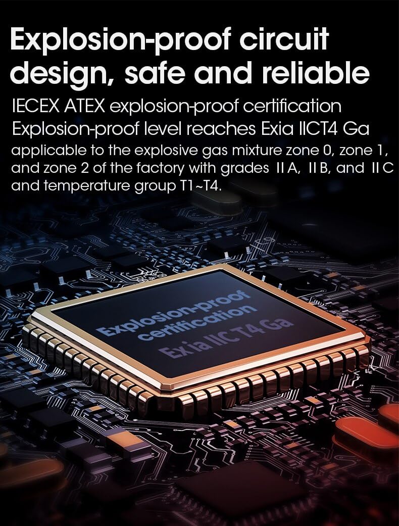 Phosphine Gas Detector Measure