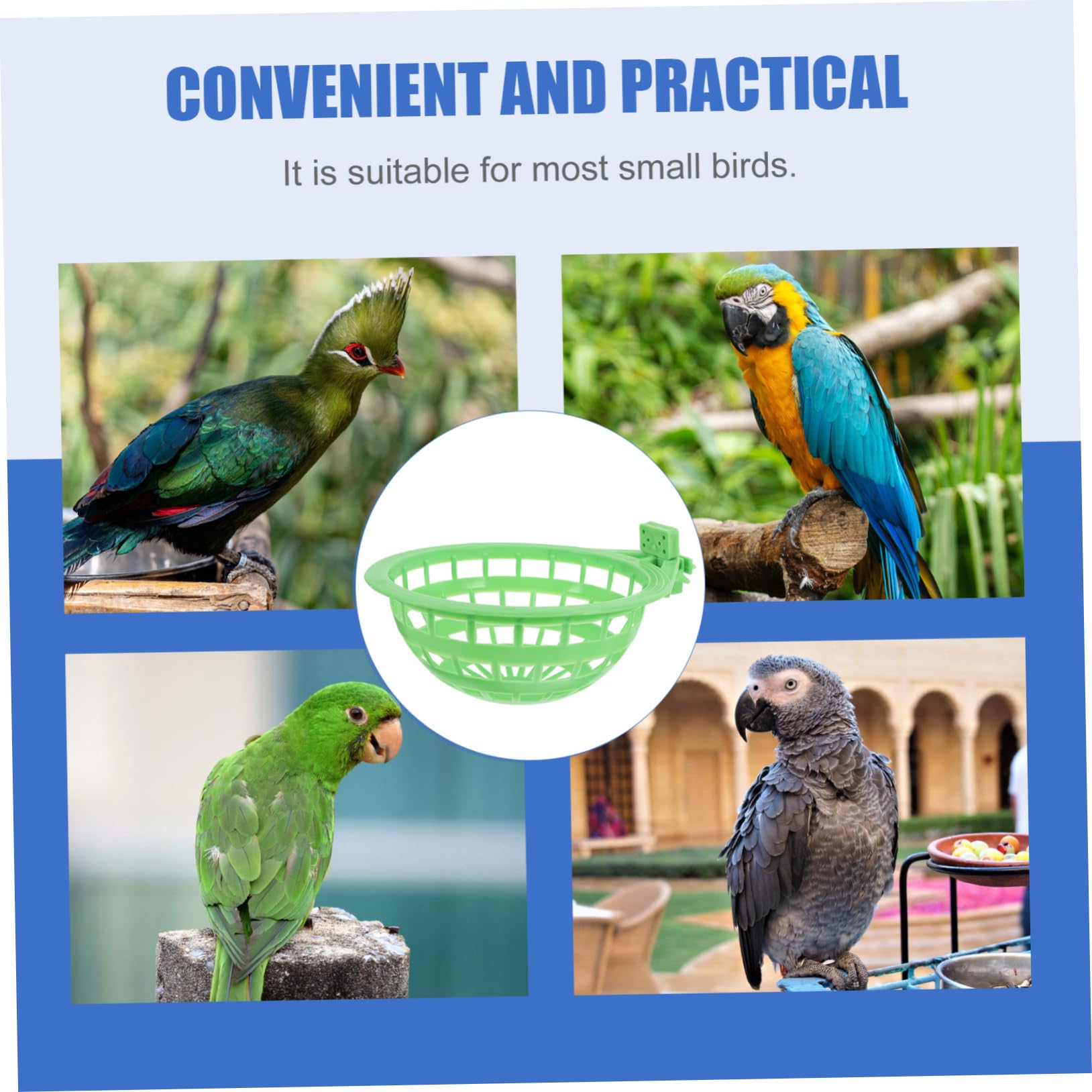 Pack De 10 Posaderos De Plástico Para Jaulas De Pájaros – Perchas Coloridas Para Periquitos, Canarios Y Pequeñas Aves