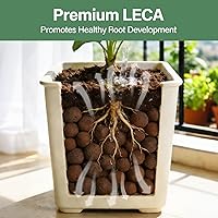 Vista 5 de Halatool 2 LB Guijarros de arcilla expandida natural de 2 libras para plantas 4mm-16mm Bolas de arcilla 100% orgánicas Hydroton Leca para plantas