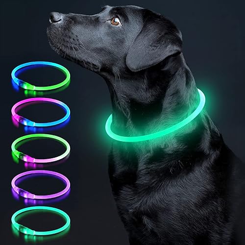 Colaseeme Collar de perro con luz LED, 1 unidad, recargable por USB, TPU brillante, collares básicos de seguridad para perros grandes, medianos y