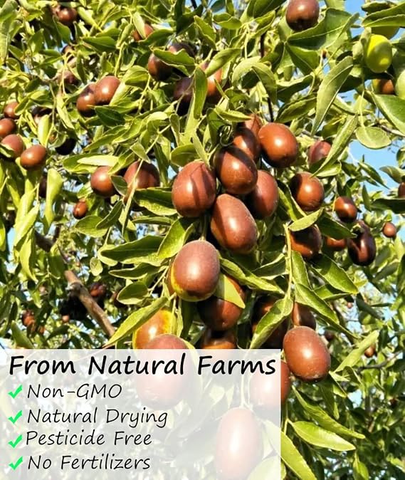 Premium Jujube Red Dates 1LB/453g,Selected Dried Fruit,Big & Delicious,100% Natural
