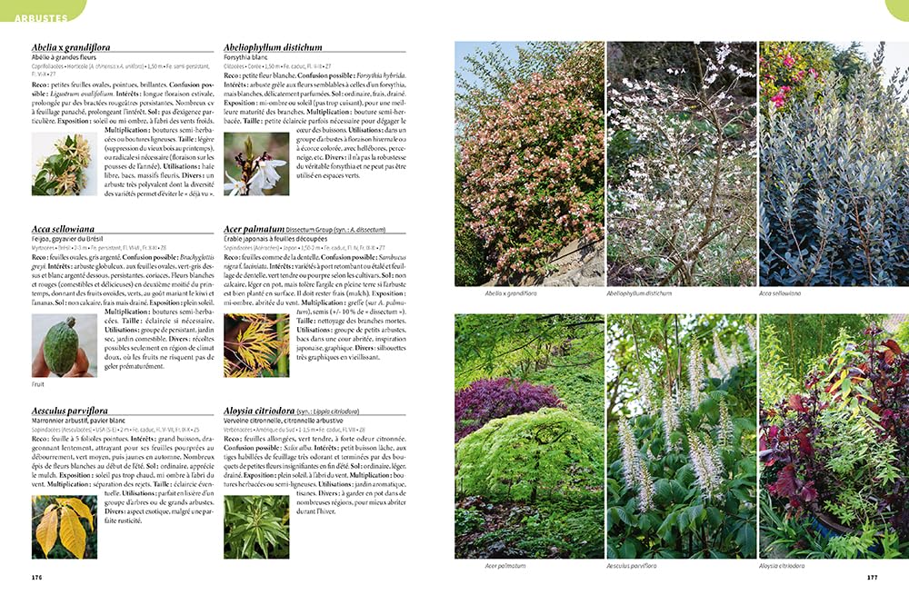 Les 900 plantes de jardin à connaître