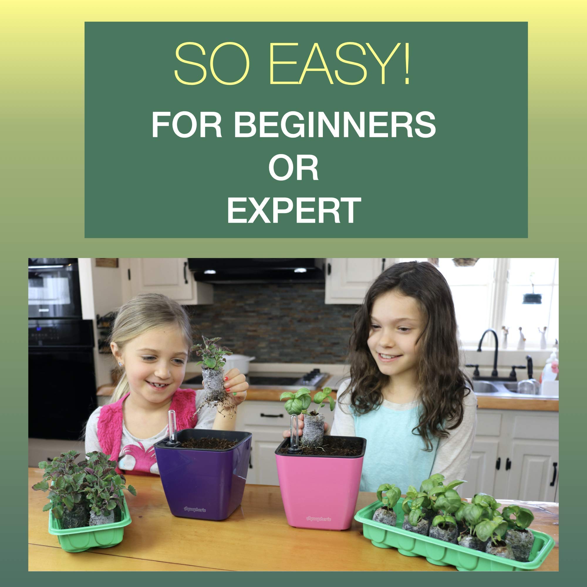 Window Garden Greenhouse Seed Starter Kit Mini Reusable Plastic Indoor Seed Starter Tray with