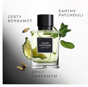 Amazon.com : Instinct by David Beckham for Men - 2.5 oz EDP Spray