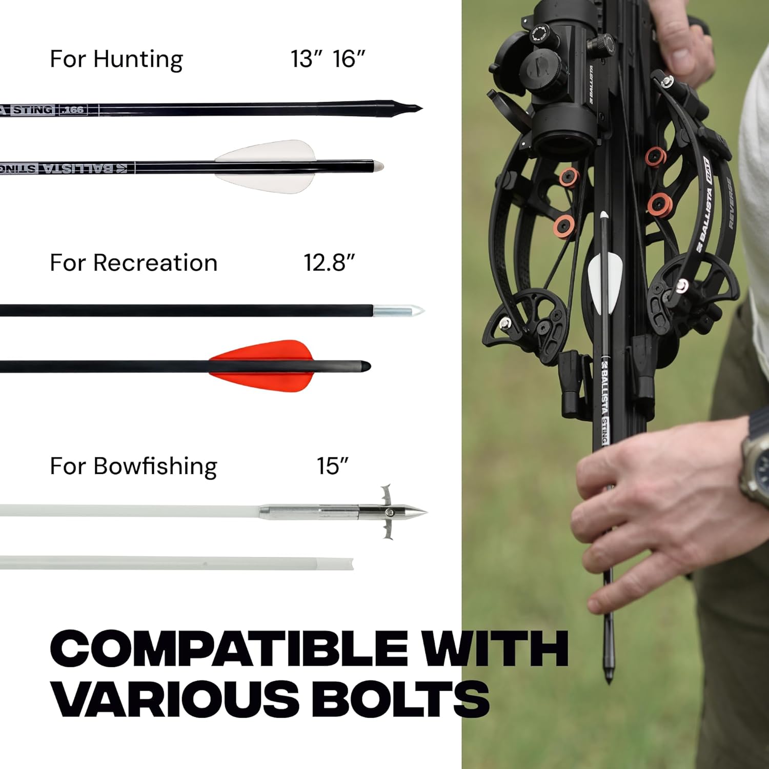 BALLISTA BAT Reverse Stock Draw Compound Crossbow for Hunting, Fishing and Target - Fast 340 fps, Powerful 150 lbs, Lightweight 4 lbs
