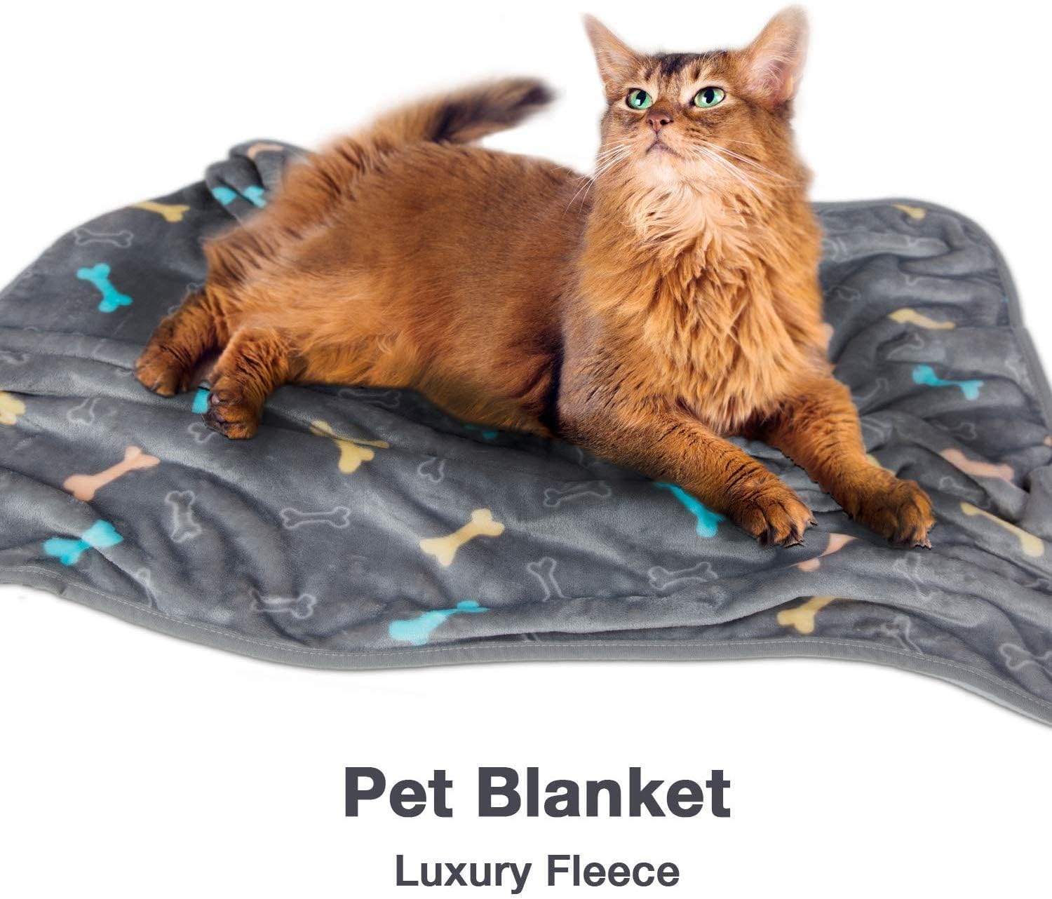 Allisandro Luxurious Dog Blanket, 350 GSM Super Fuzzy Microplush Fleece Pet Blankets for Small Medium Large Dogs and Cats, Grey Bone, 80 x 60 Inches