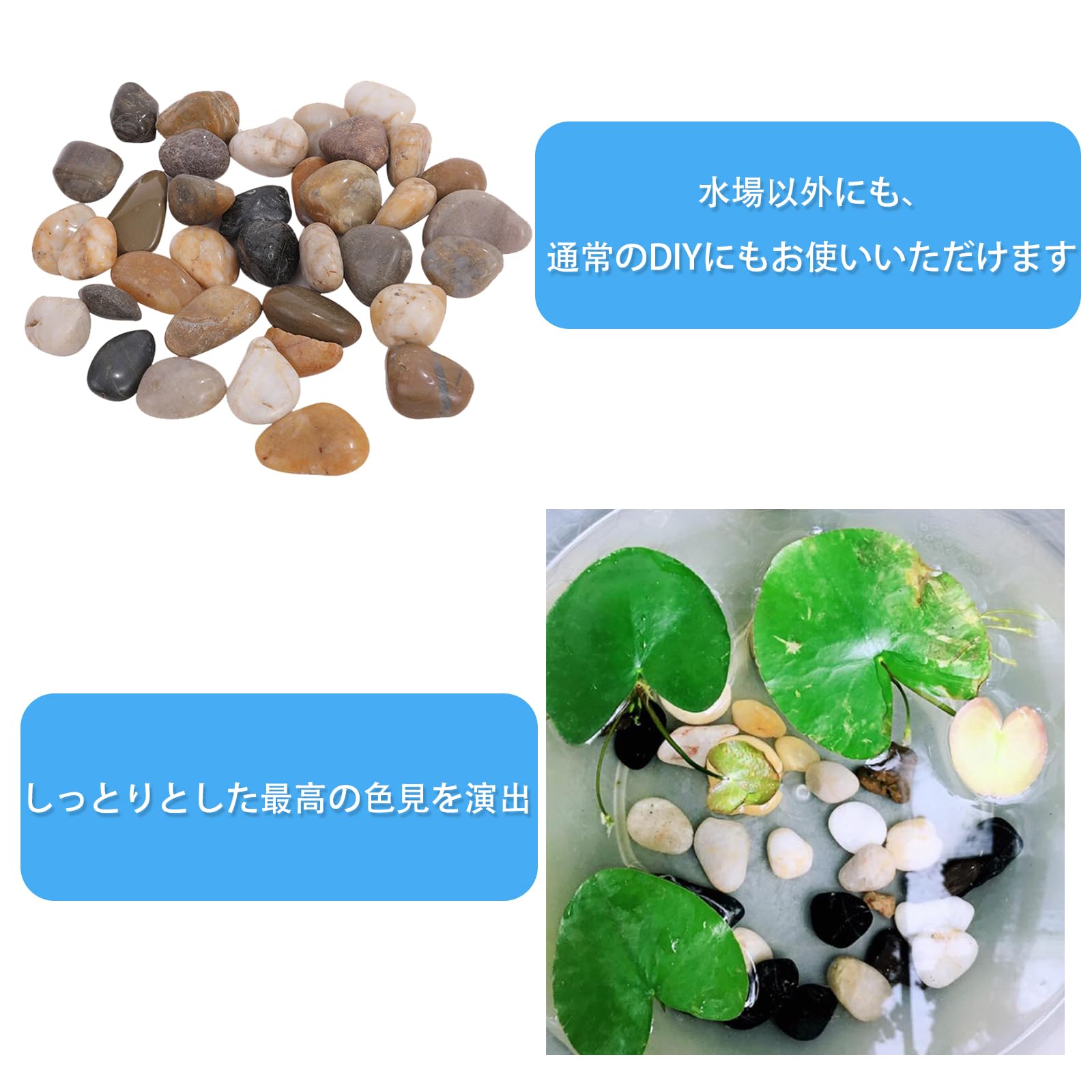 Amazon | ピュアシーク 天然五色石 紫光石 彩り石 プチアクアの