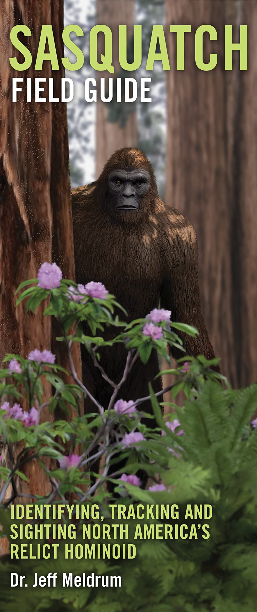 Sasquatch Field Guide