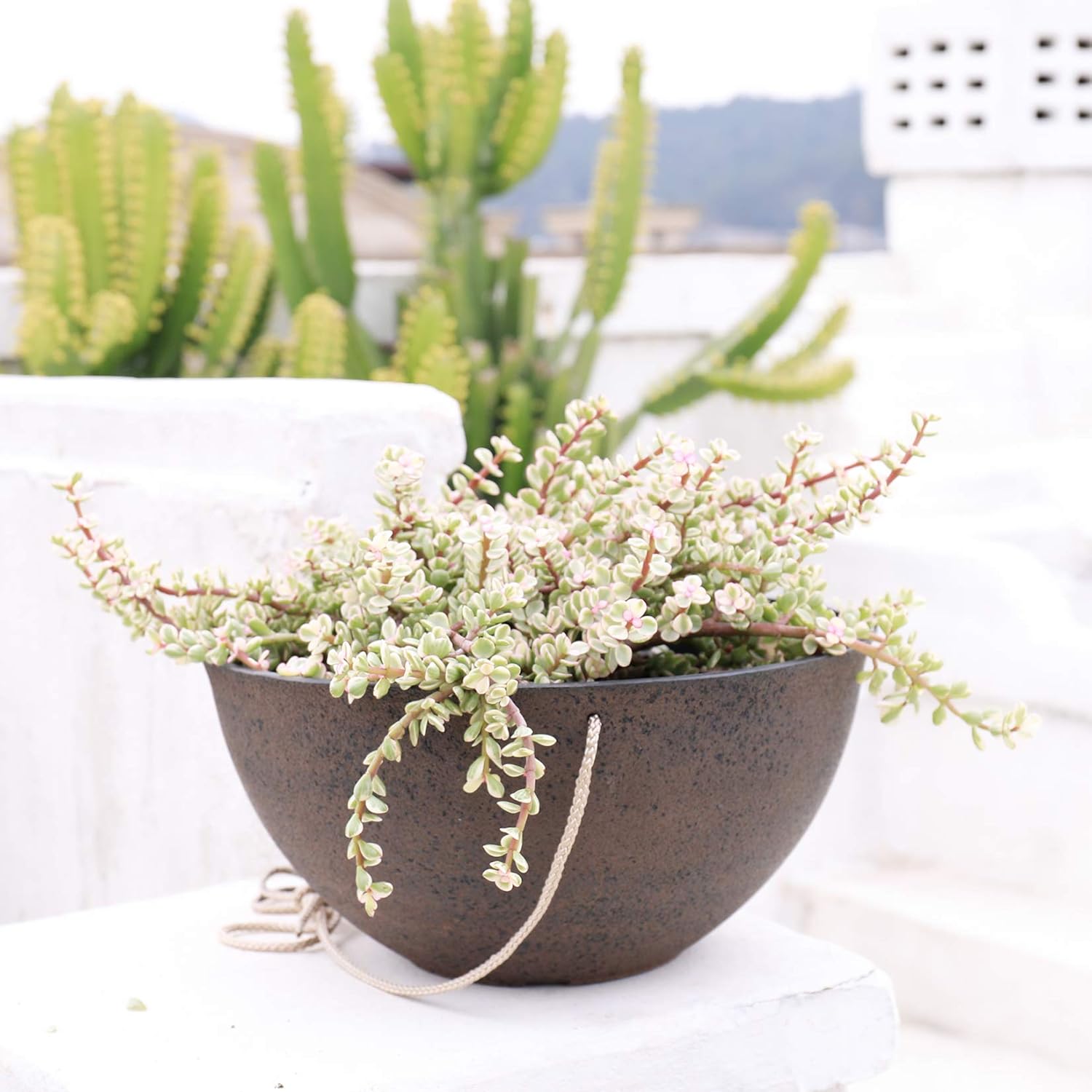 La Jolie Muse Large Hanging Planters, Flower Pots Outdoor Indoor, 13.2 Inch Garden Planters, New Iron Color, Set of 2 : Patio, Lawn & Garden