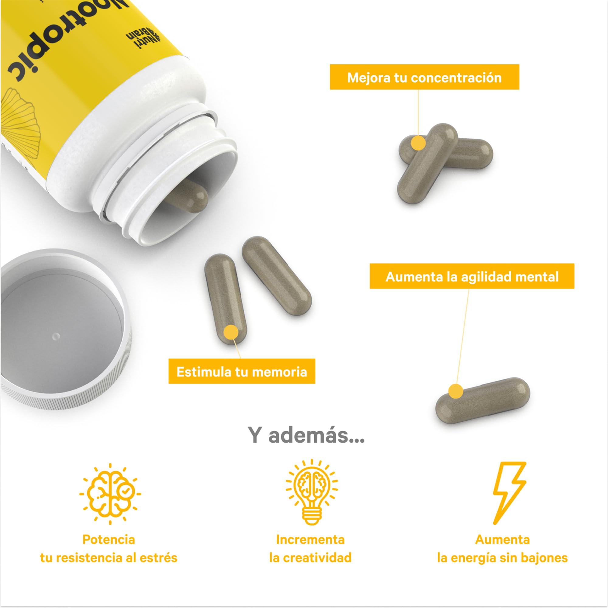 Pack Nootrópico Natural + Triptófano con Melatonina (60 + 70 cápsulas) - Energía y Descanso - Sueño Profundo y Energía para el día a día - Aumenta la Concentración y Agilidad Mental