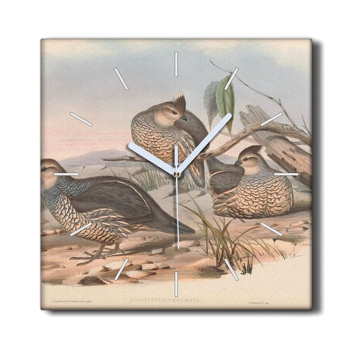 Horloge sur Toile Horloge Murale sans tic-tac 30x30cm Salon Oiseaux