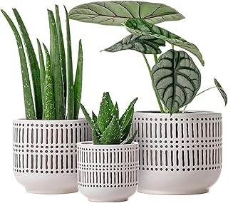 Docrin 3-Pack Ceramic Planters Set - 6.5"+5.3"+4" Dual-Tone Flower Pots with Drainage Holes, Modern Indoor Outdoor Planters for Succulents/Herbs/Large Plants, Home Office (Brownish Black & White)