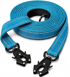 Lina Pet Hundeleine 3m x 2,5 cm, Verstellbare Doppelleine aus Nylon mit Aluminium-Karabiner, Führleine Reflektierend für große und mittelgroße Hunde