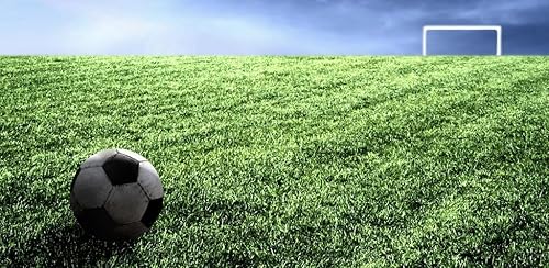 Futebol ao vivo