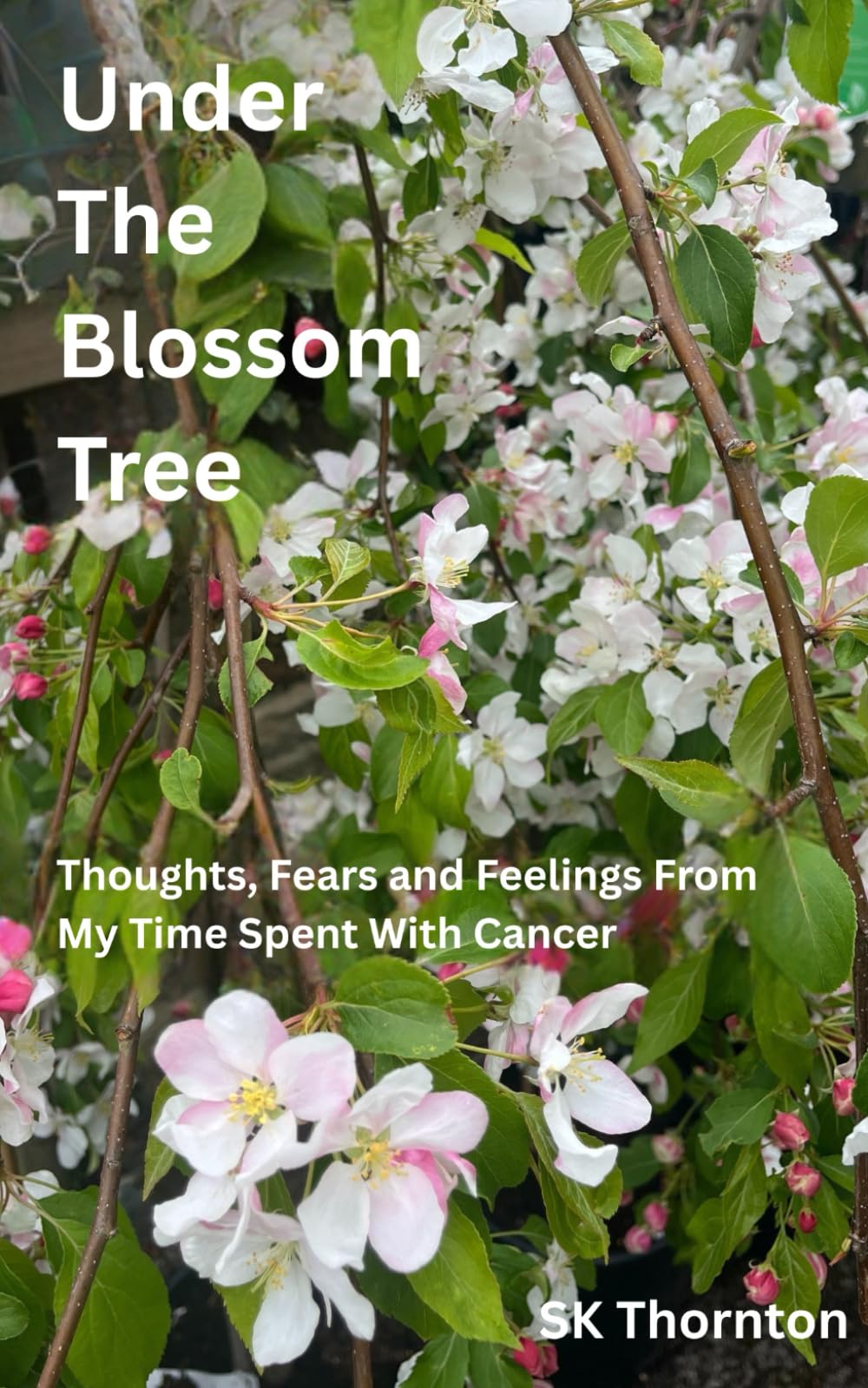 Under the Blossom Tree: Thoughts, Fears and Feelings from My Time Spent with Cancer