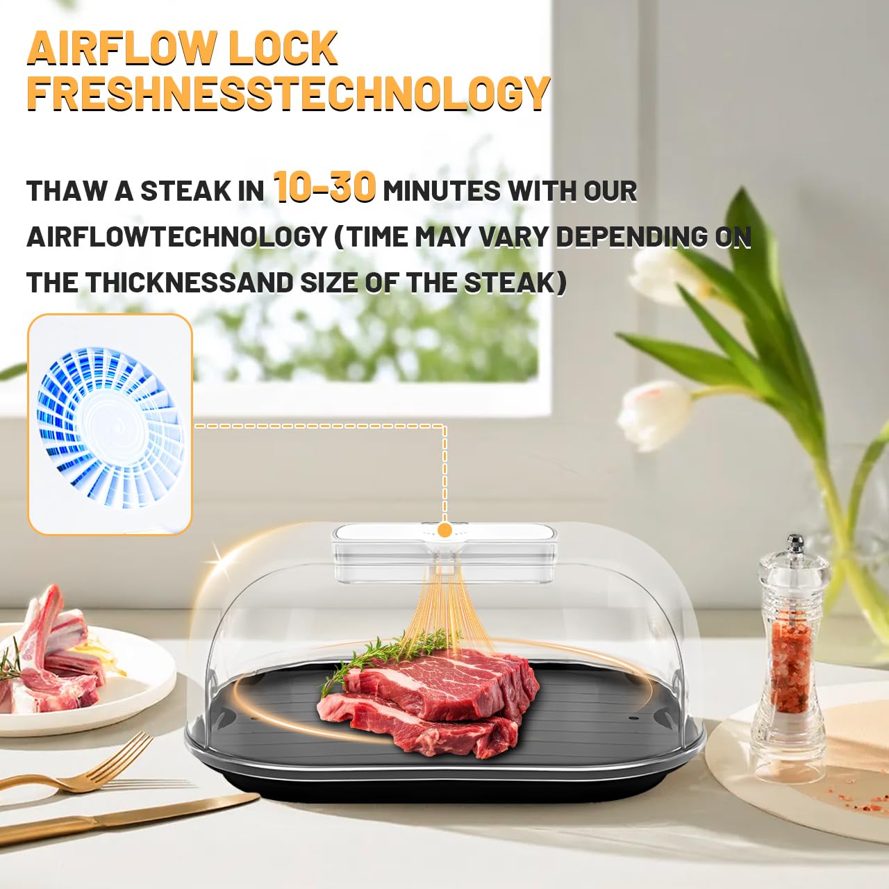 Plieren Thawing Tray for Frozen Meat - Quick Defrosting Food Thawing Tray for Steaks, Chicken & Seafood | Countertop Defroster Plate in Kitchen, Camping, BBQ Grilling