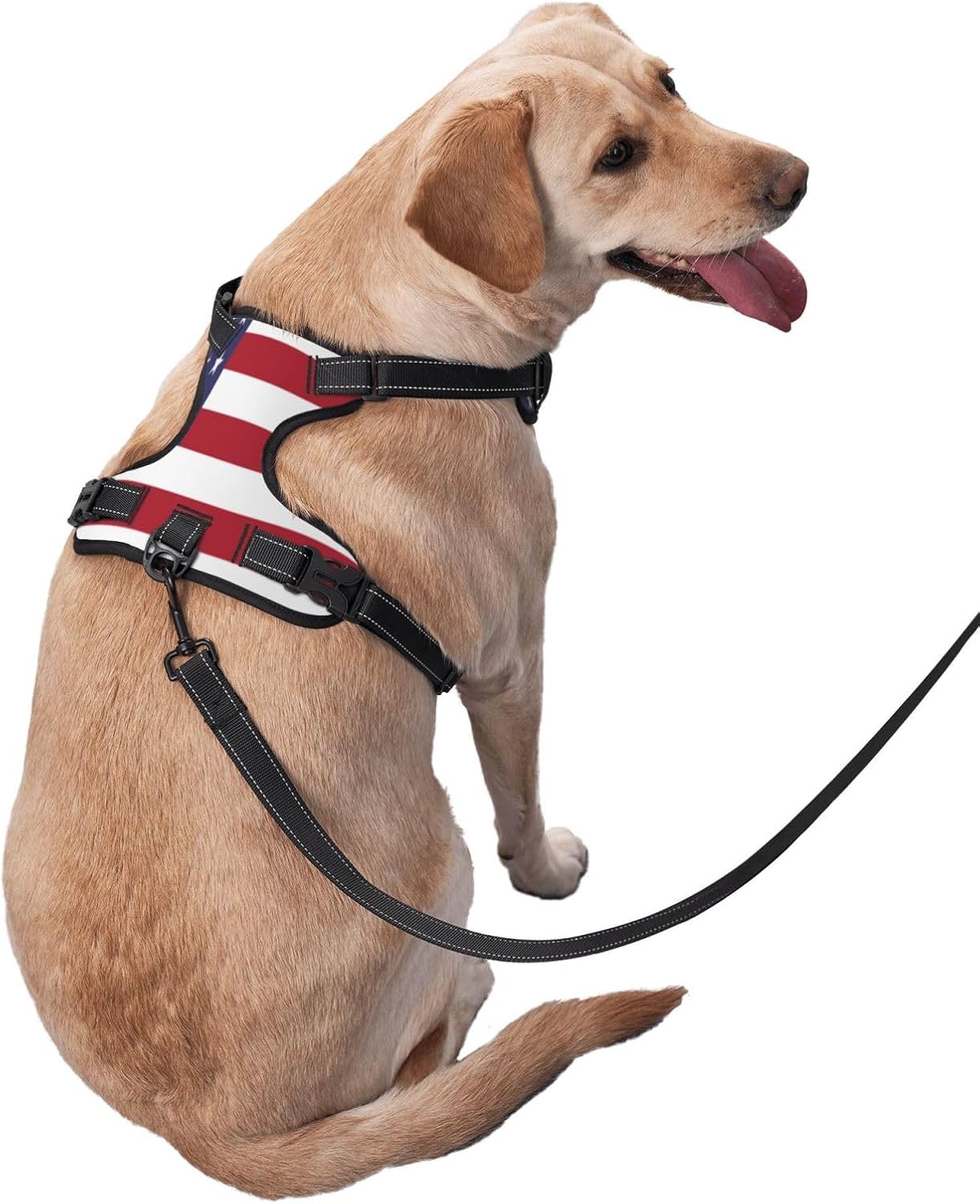 Flag of The United States No Pull Dog Vest Harness for Small Medium Large Dog Puppy Pets Cats Outdoor Walking
