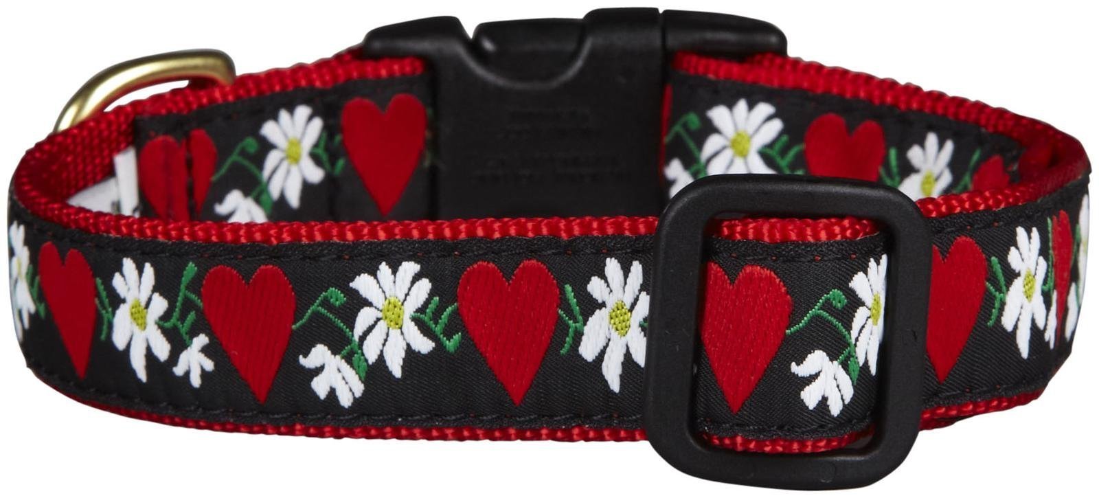 Collier pour chien XS Up Country aux finitions soignées en laiton