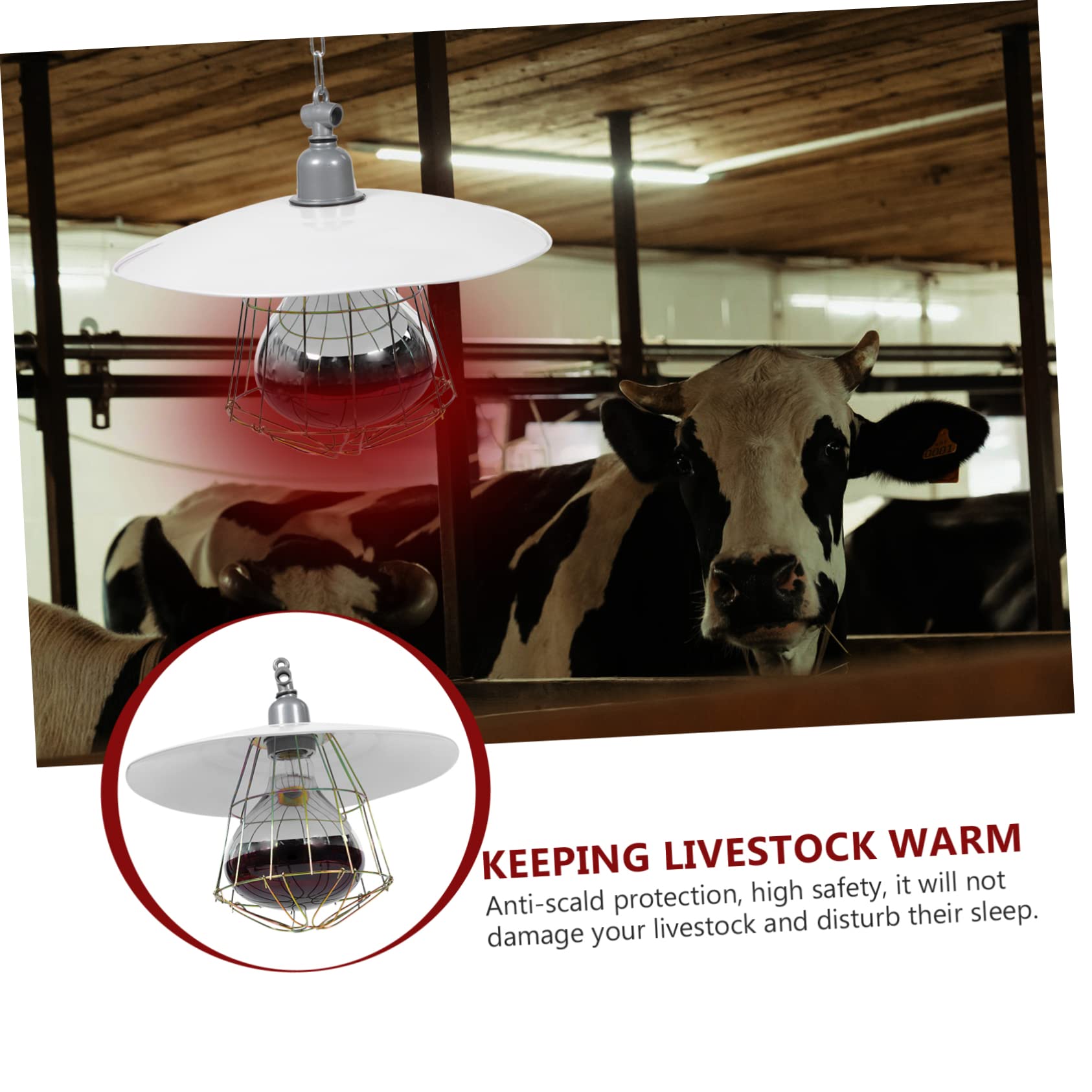 Lampada Riscaldante per Rettili e Bestiame in Metallo Copertura a Rete, 250w Luce Rossa, Alta Efficienza Termica per Gabbie Animali Domestici e Incubatrici Colore Casuale