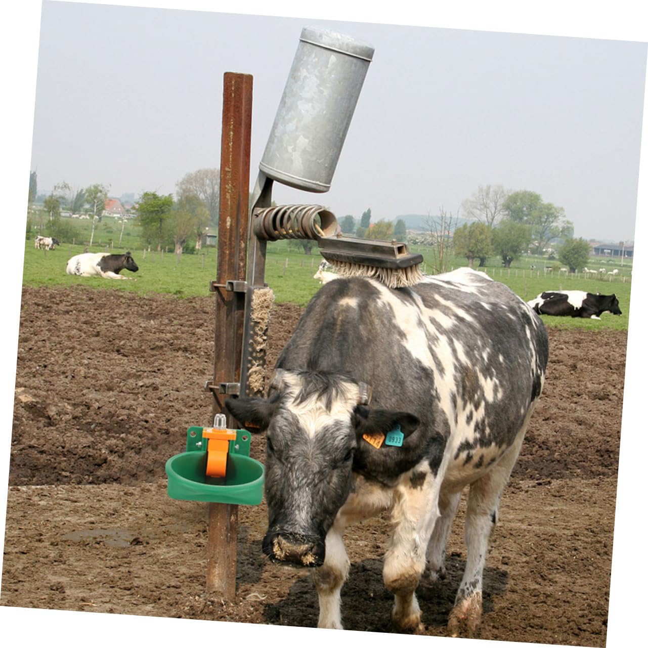 Ciotola Automatica per Bere per Bestiame 2 Pezzi Plastico Verde | Forma a Ciotola, Manutenzione Semplice, Uso in Ambienti Agricoli E'aperto per Bovini Eevamenti