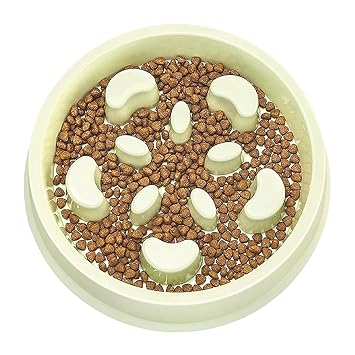 Emily Pet Slow Feeder Dog Bowl No Choking Slow Feeder Bloat Stop Dog Food Water Bowl with Funny Pattern