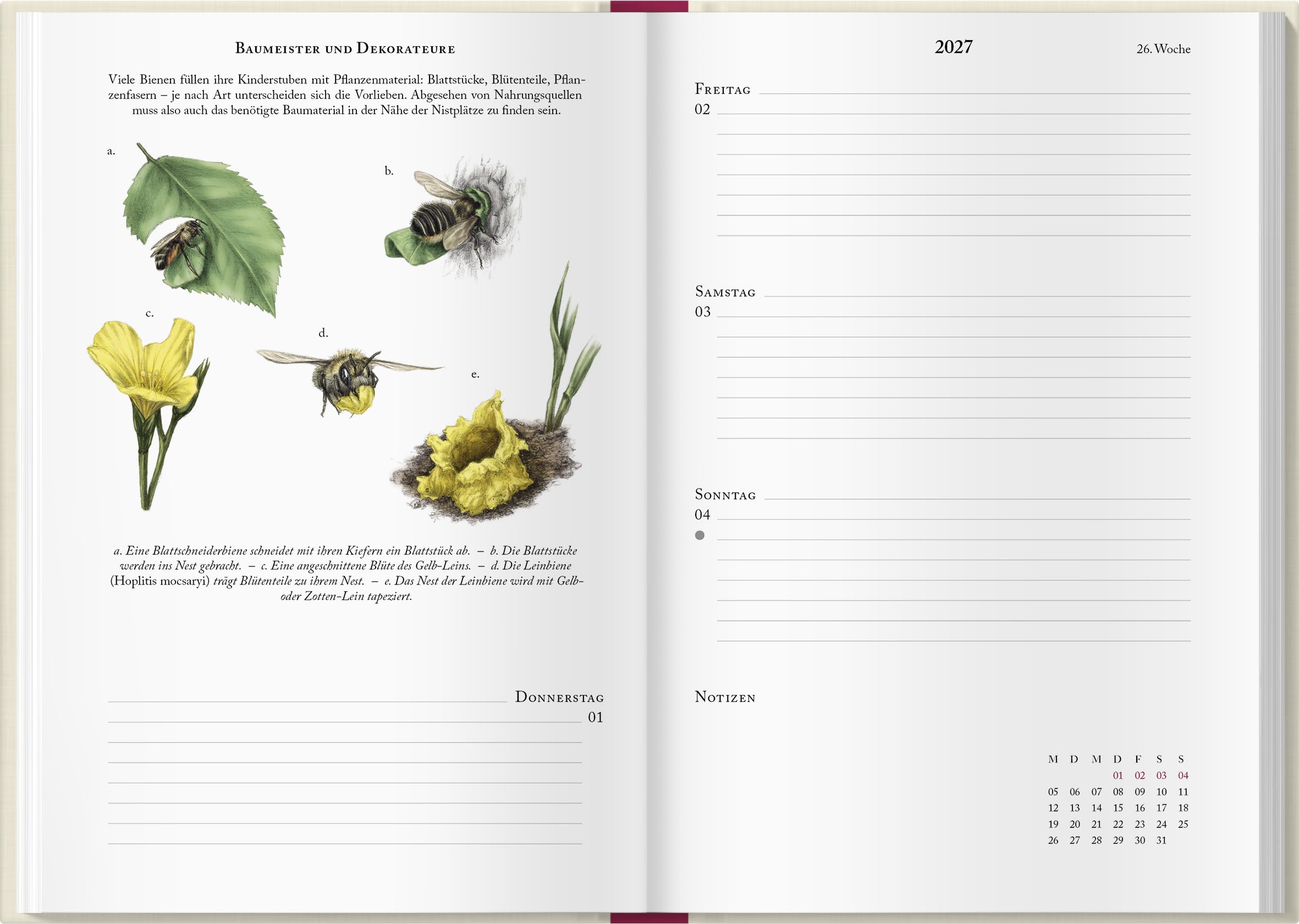 Bienenkalender 2027: Mit einer praktischen Wochenübersicht und bezaubernden Illustrationen. Für Bienen- und Naturliebhaber: Organisieren, beobachten & entdecken mit dem praktischen Taschenkalender.