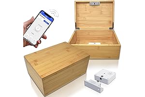 App Controlled Timed Lock Box: The Ultimate Temptation Terminator