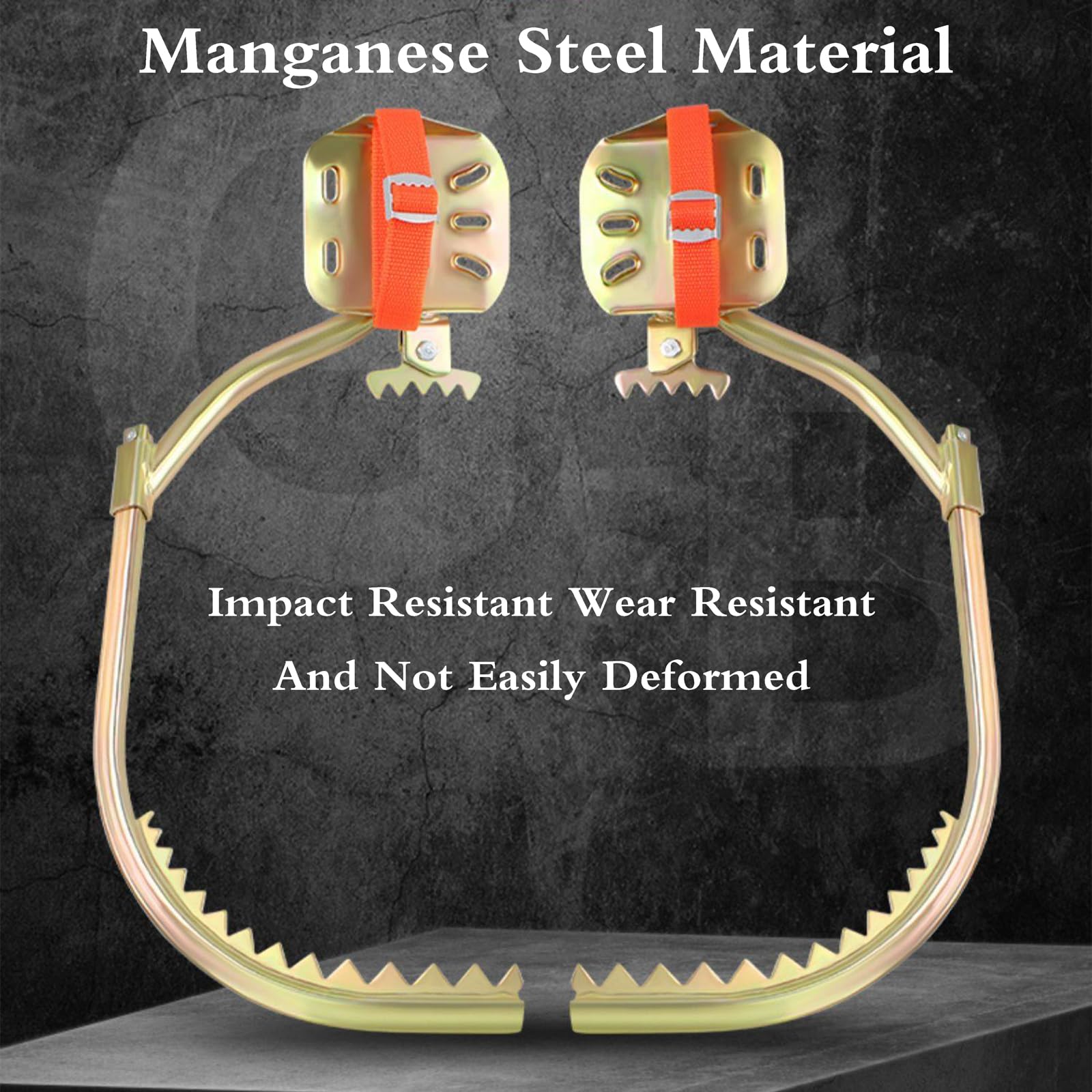 Kolce do wspinaczki na drzewa, Kolce do wspinaczki na drzewa z pasem bezpieczeństwa, złote, wiele modeli(250Model)