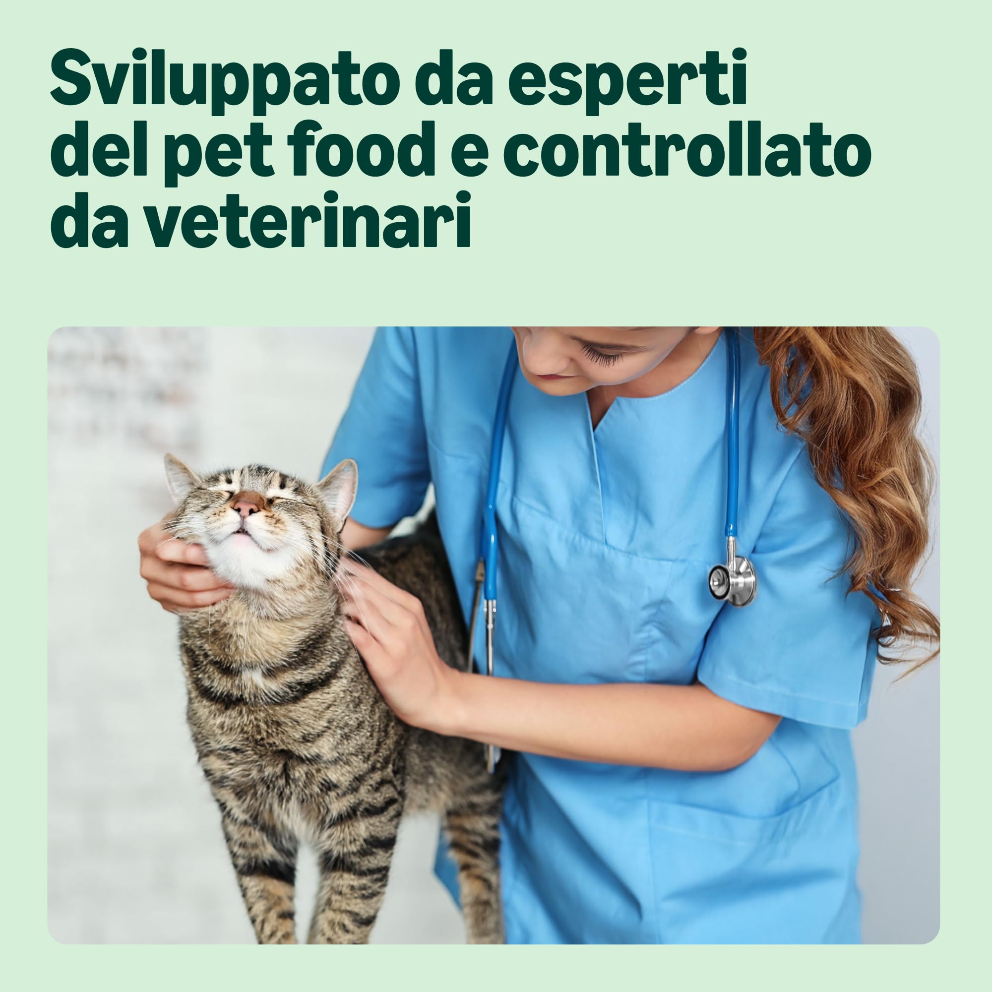 by Amazon - Alimento secco completo per gatti adulti con pollo, tacchino e verdure, 1 confezione da 3 kg